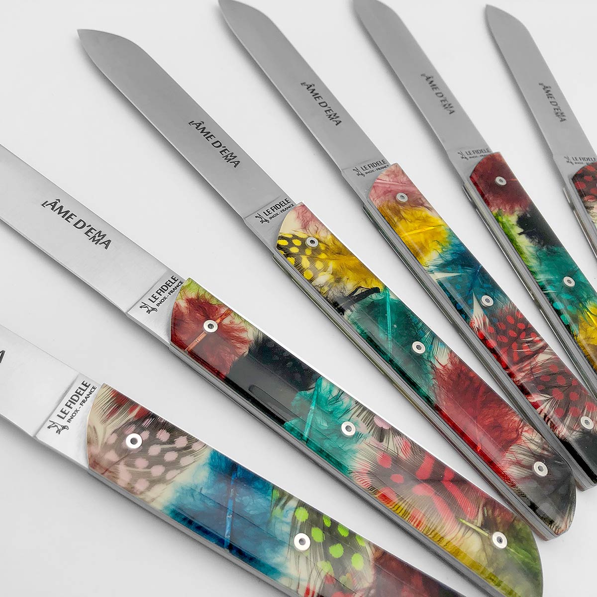 coffret 6 couteaux de table haute qualite fabriques thiers - l'âme d'Emma de table - plumes de pintade colorée
