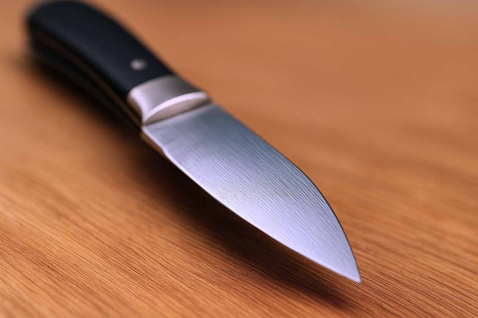 Lot De 3 Couteaux De Cuisine 'LA FOURMI' - Lame 9cm Inox - Fabrication Française