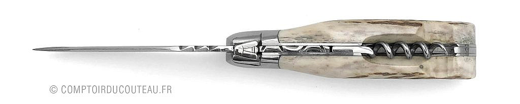 Couteau de chasse Outdoor LAGUIOLE G.DAVID 2P Cerf 12cm vue de dessus