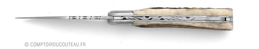 couteau de poche douris chastel Le Pionnier Chasse manche bois de cerf 11 cm vue de dessus
