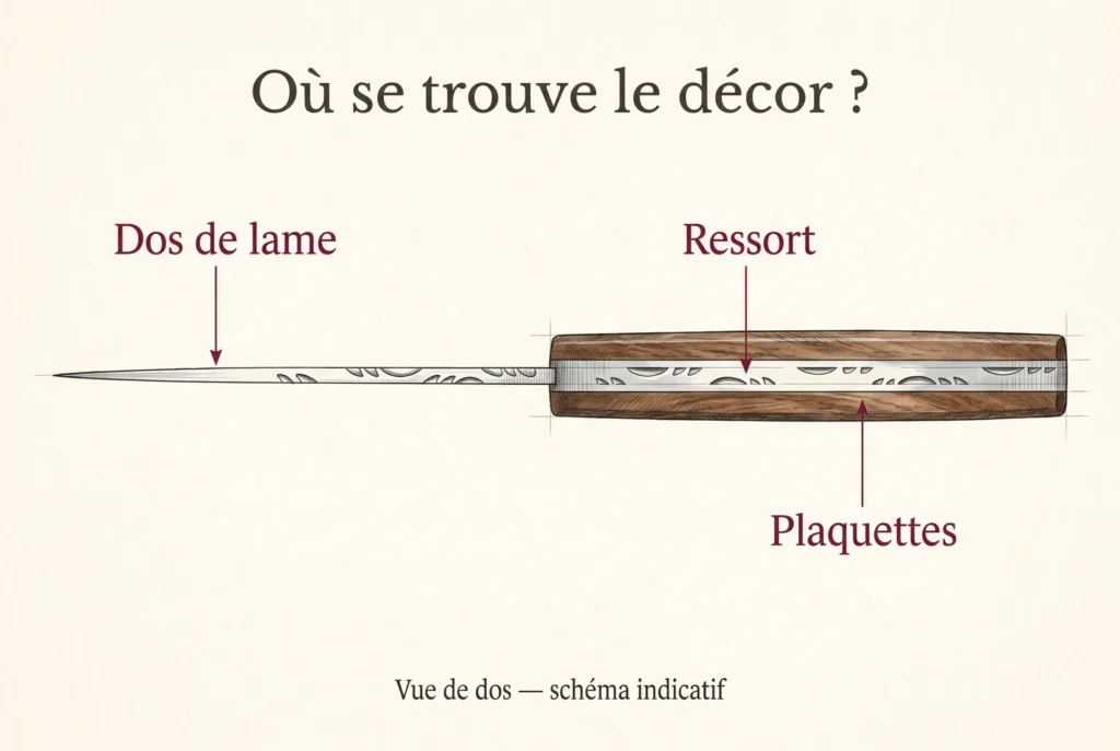 Schéma vu de dos d’un couteau pliant : le dos de lame à gauche, le ressort guilloché entre les plaquettes de bois à droite.