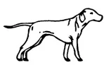 coutellerie le fidèle