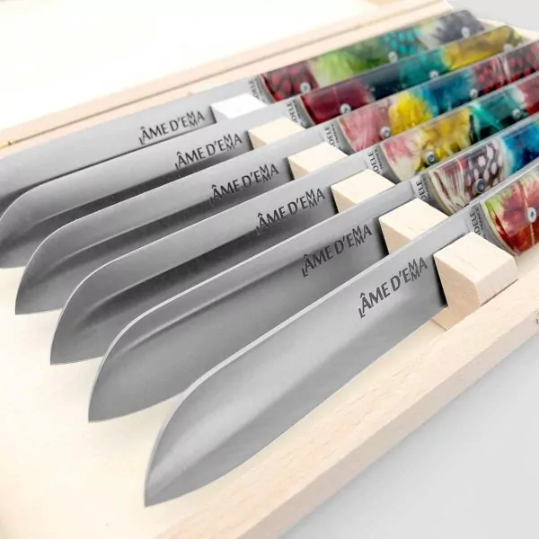 coffret 6 couteaux de table haute qualite fabriques thiers - l'âme d'Emma de table - plumes de pintade colorée