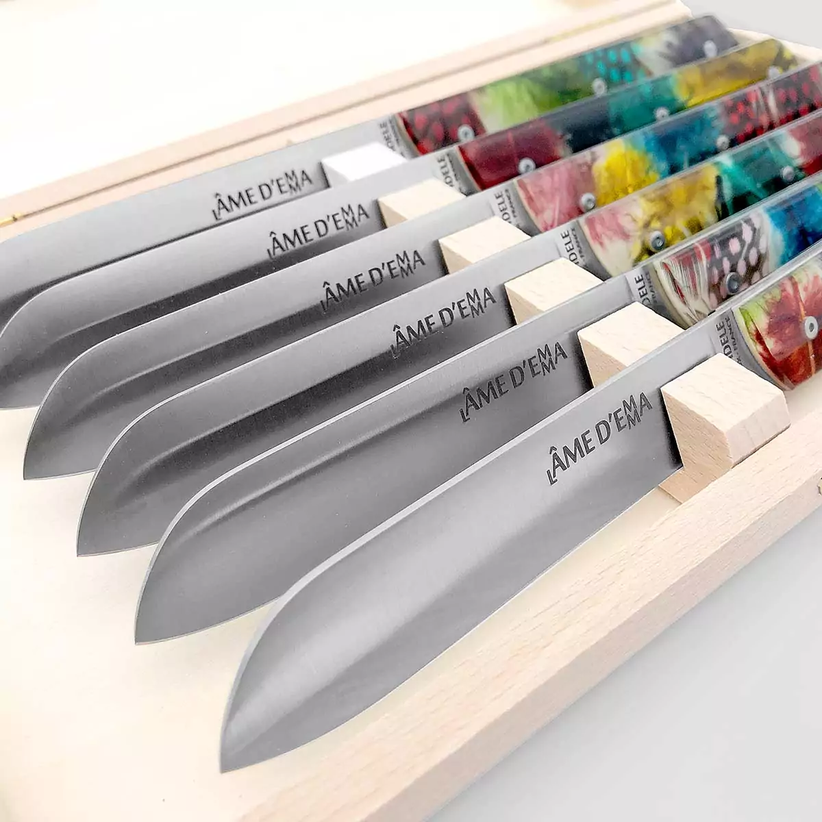 coffret 6 couteaux de table haute qualite fabriques thiers - l'âme d'Emma de table - plumes de pintade colorée
