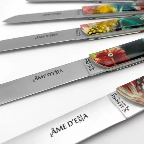 coffret 6 couteaux de table haute qualite fabriques thiers - l'âme d'Emma de table - plumes de pintade colorée