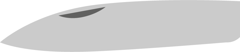 forme de lame feuille de sauge