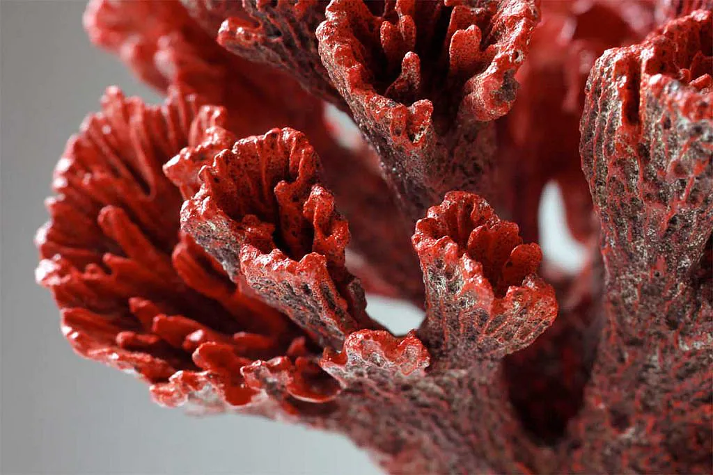 utilisation du corail rouge en coutellerie - légalité ?
