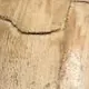 Manche en dents fossiles stabilisées (taxa variés)