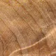 Manche en Peuplier stabilisé (Populus spp.)