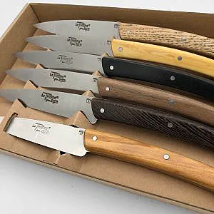 coffret 6 couteaux de table bois assortis Le Thiers (olivier, wengé, buis, ébène, chêne, bois de violette)